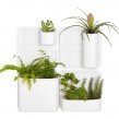 Стартовый комплект из 5 предметов Urbio Perch 5-Piece Starter Kit