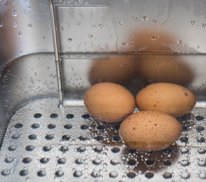 Пастеризованный яйца целиком sous vide